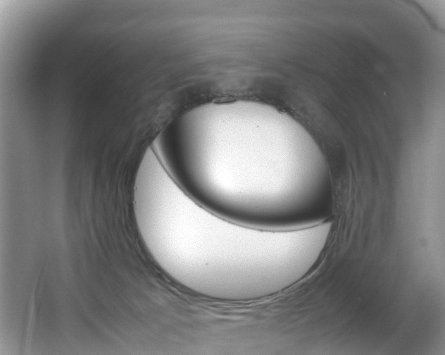 X0000066940033200603240946