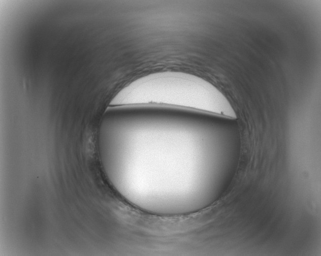 X0000066940037200603240946