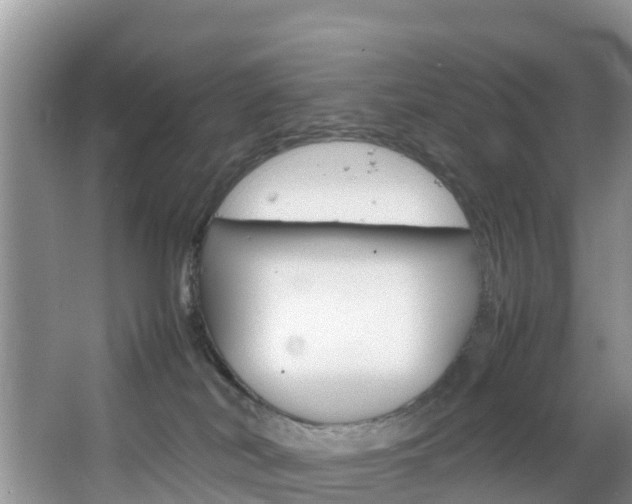 X0000066940038200603240946