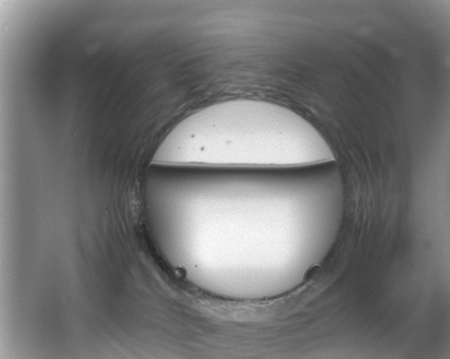 X0000066940040200603240946