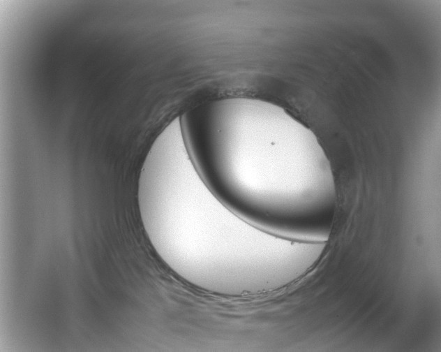 X0000066940041200603240946