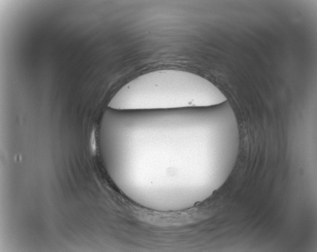 X0000066940042200603240946