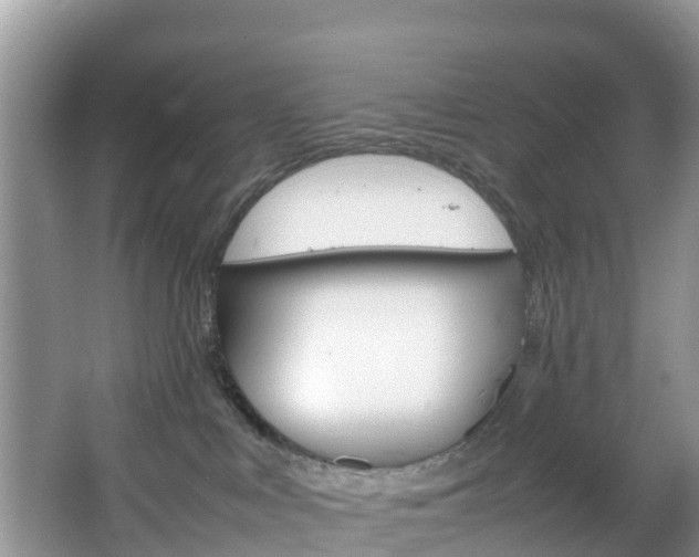 X0000066940043200603240946