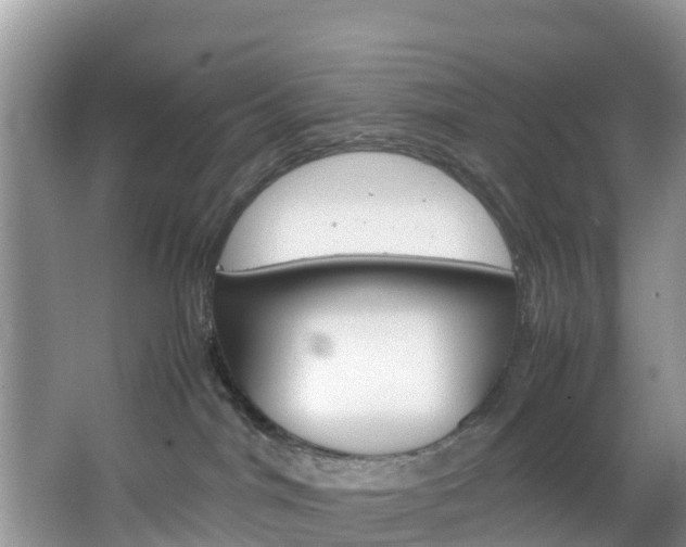 X0000066940044200603240946