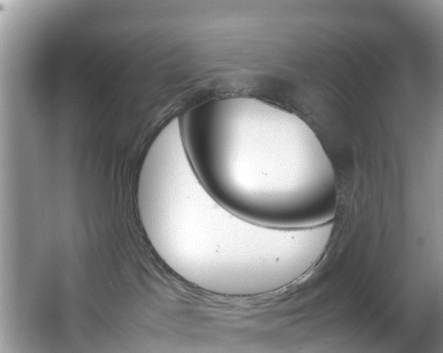 X0000066940045200603240946