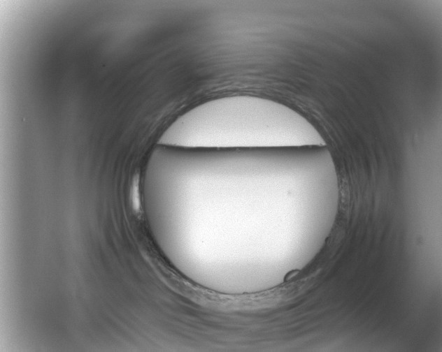 X0000066940046200603240946