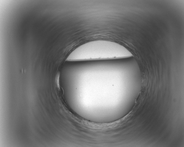 X0000066940047200603240946