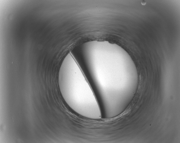 X0000066940048200603240946