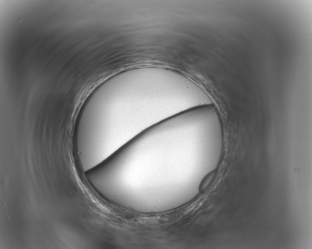 X0000066940049200603240945