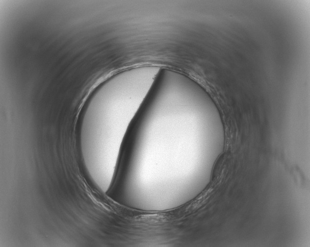 X0000066940050200603240945