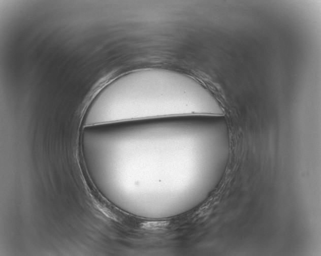 X0000066940051200603240945