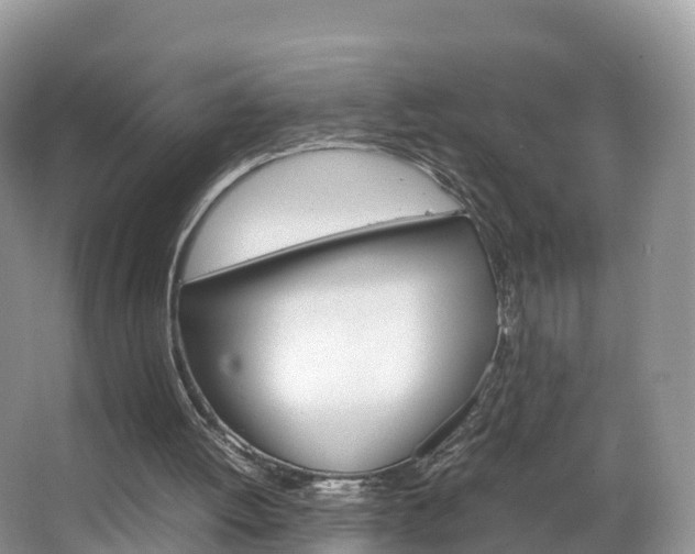 X0000066940052200603240945