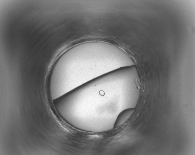 X0000066940053200603240945