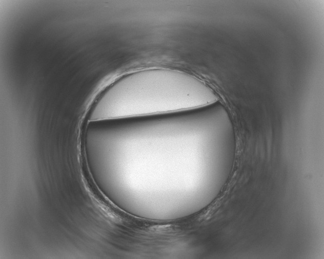 X0000066940054200603240945