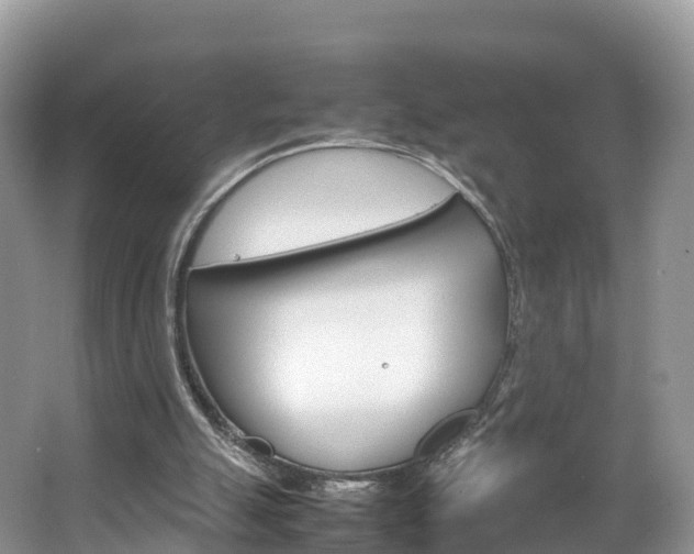 X0000066940055200603240945