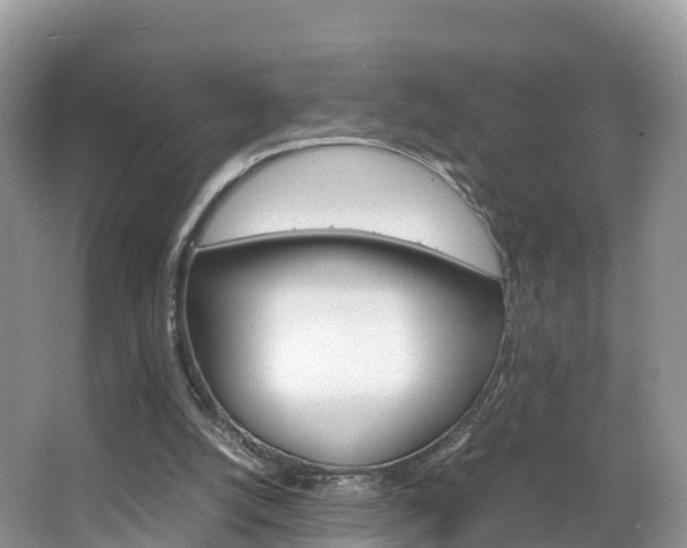 X0000066940056200603240945