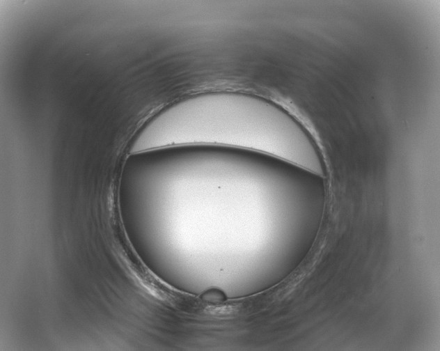 X0000066940057200603240945