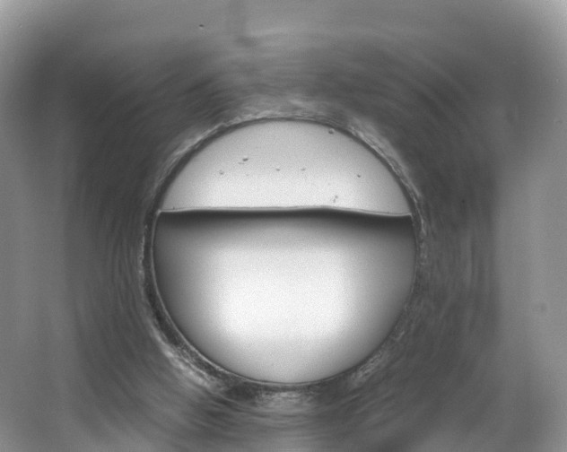 X0000066940058200603240945