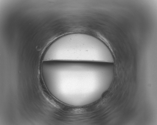 X0000066940059200603240945