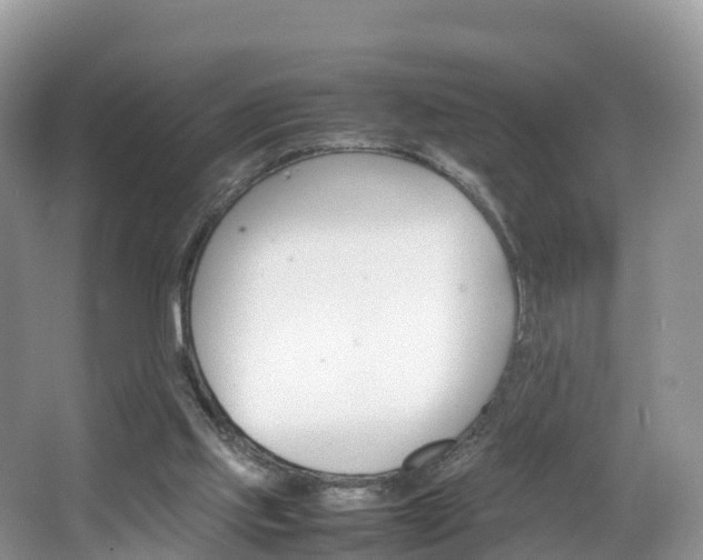 X0000066940061200603240945