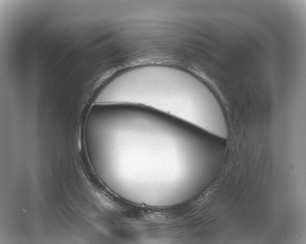 X0000066940062200603240945