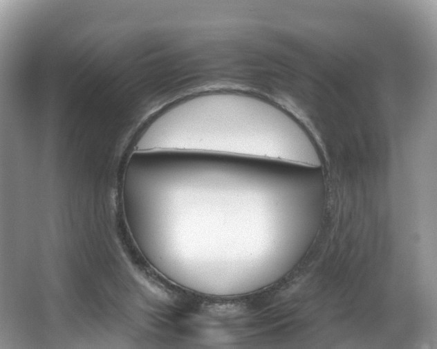 X0000066940063200603240945