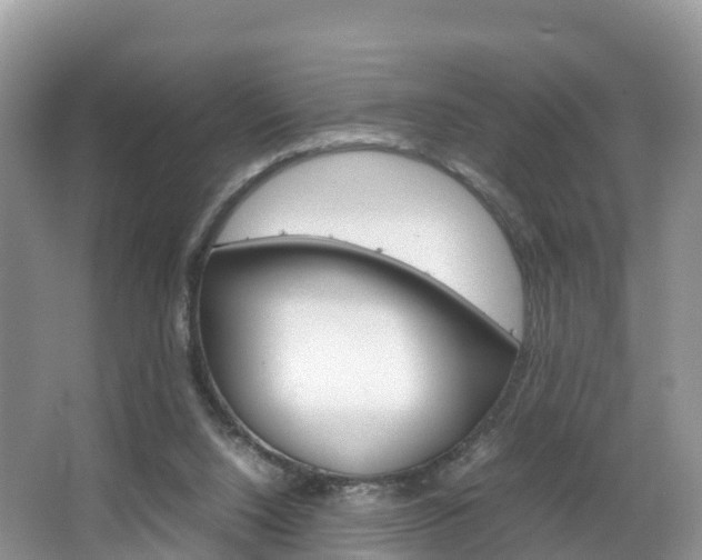 X0000066940064200603240945