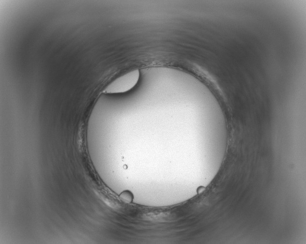 X0000066940065200603240945