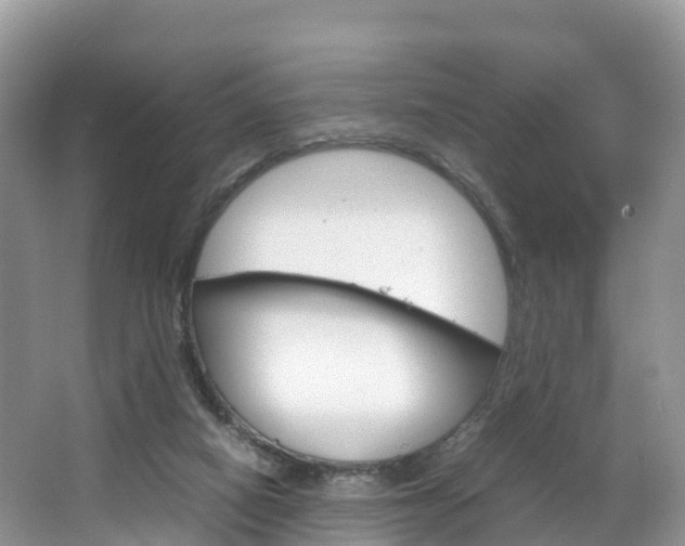 X0000066940066200603240945