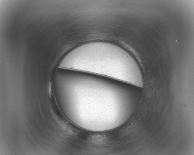 X0000066940067200603240945