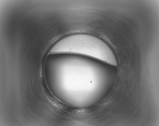 X0000066940068200603240945