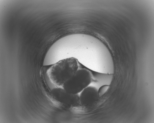 X0000066940069200603240945