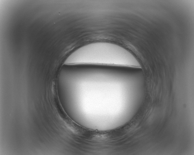 X0000066940071200603240945