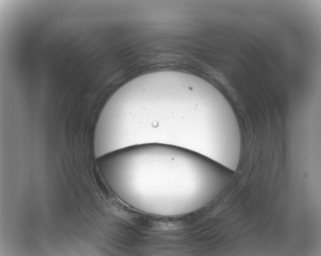 X0000066940073200603240945