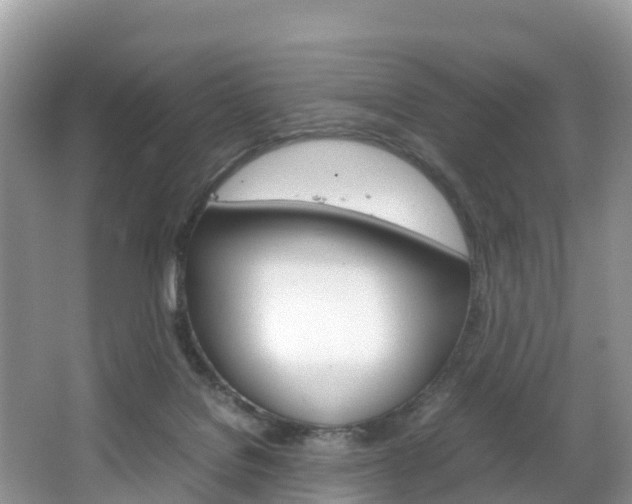 X0000066940076200603240945