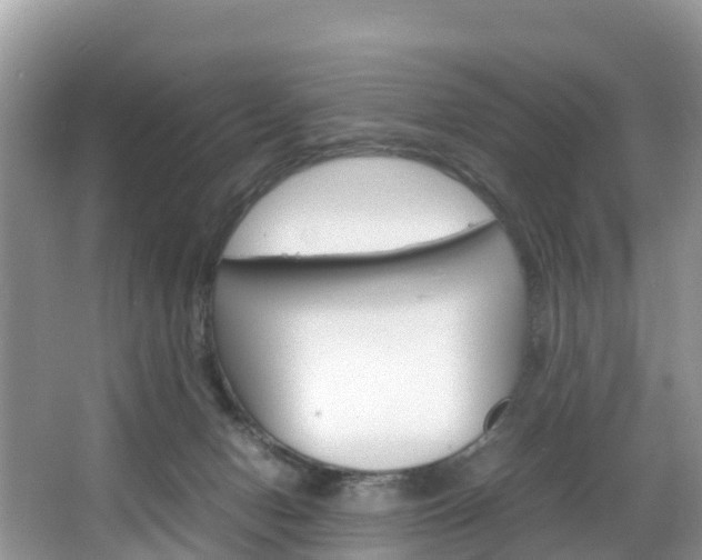 X0000066940078200603240945