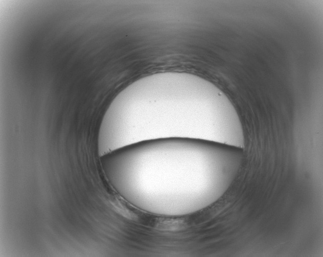 X0000066940081200603240945