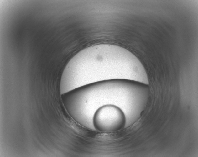 X0000066940082200603240945