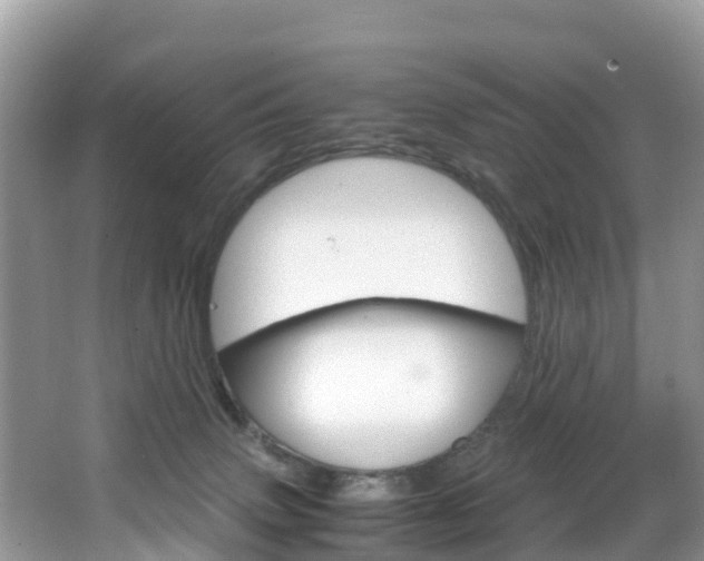 X0000066940083200603240945