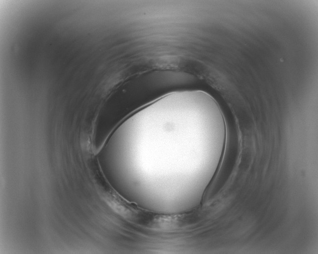 X0000066940084200603240945