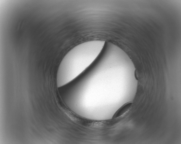 X0000066940086200603240945