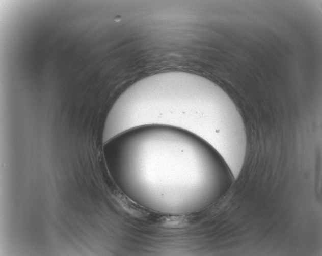 X0000066940088200603240946