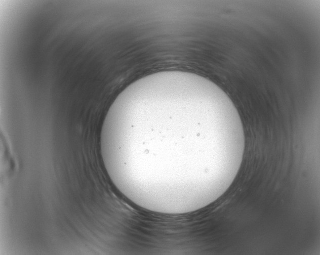 X0000066940089200603240946