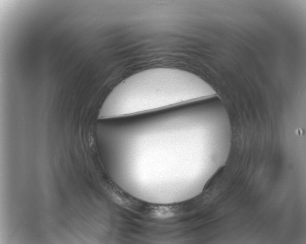 X0000066940091200603240946