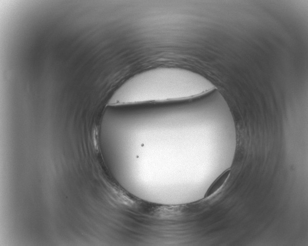 X0000066940094200603240946