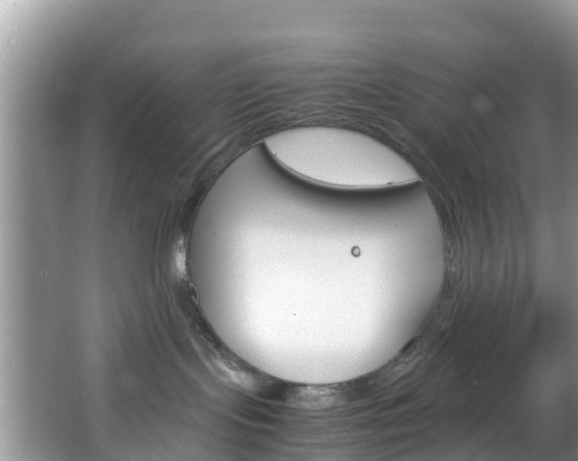 X0000066940095200603240946