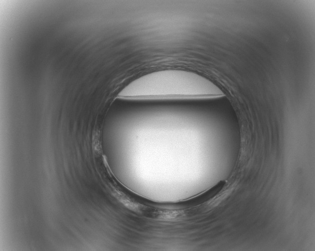 X0000066940096200603240946