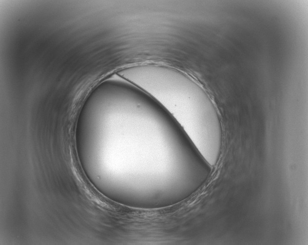 X0000066940097200603240945