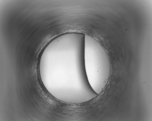 X0000066940098200603240945