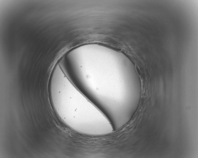 X0000066940099200603240945